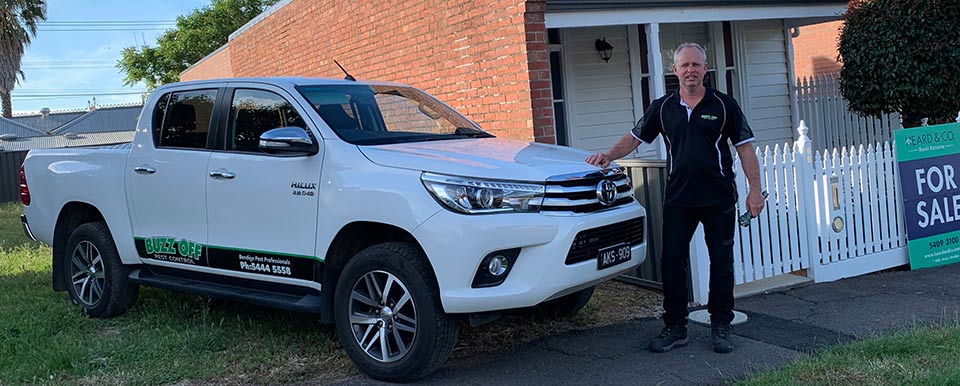 Pre-purchase pest inspection