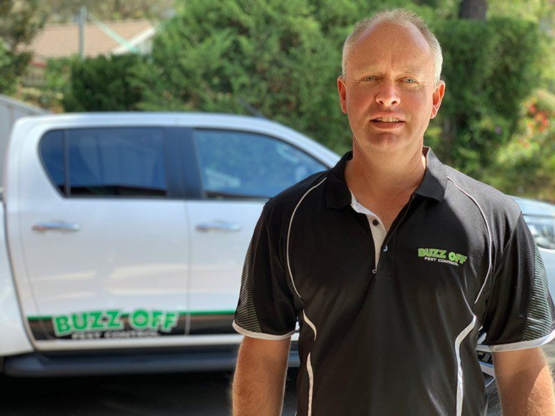 Termite treatment